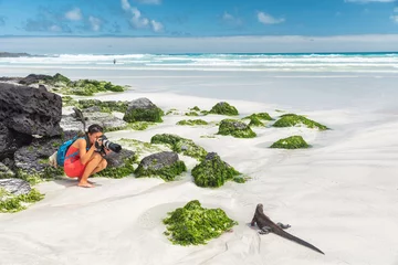 Foto op Canvas Galapagos islands travel wildlife photography photographer tourist woman taking photos of marine iguana walking on Tortuga Bay beach, Santa Cruz island. Galapagos cruise vacation. © Maridav