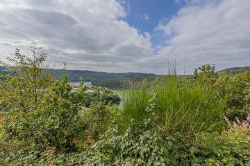 Fototapeta na wymiar Wild vegetation and lush green trees with the Esch-sur-Sure lake in the background, seen from a viewpoint, sunny day with blue sky and abundant white clouds in Luxembourg