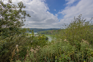 Obraz premium Abundant wild vegetation and lush green trees with the Esch-sur-Sure lake in the background, seen from a viewpoint, sunny day with blue sky and abundant white clouds in Luxembourg