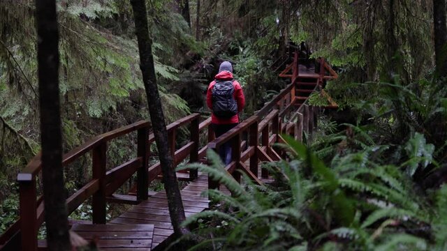 Person Walking Over A Bridge In A Forest