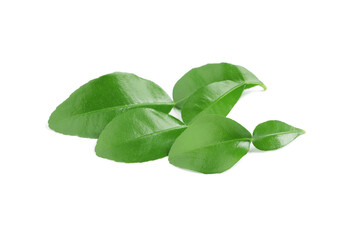 Green leaves of bergamot fruit on white background