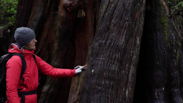 Woman Exploring Old Growth Rain Forest