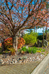 Naklejka premium Houses in suburb with Spring Blossom in the north America. Luxury houses with nice white and pink coloured landscape.