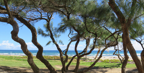 Barbados tropical Caribbean scenery calling