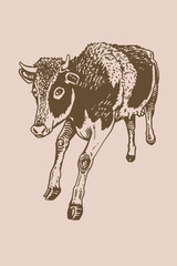 Vector cow , sepia illustration,farm animal