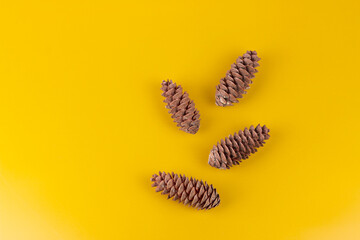 Fir cones on yellow background. Flat lay top view image with copy space.