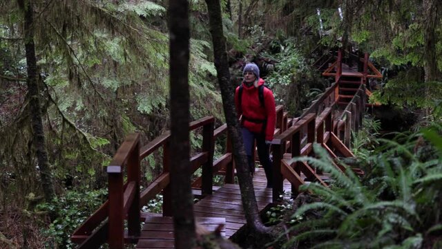 Person Walking Through A Healthy Forest
