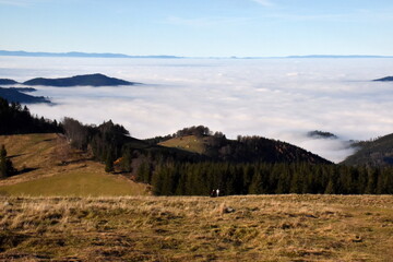 Inversionsweter im Schwarzwald
