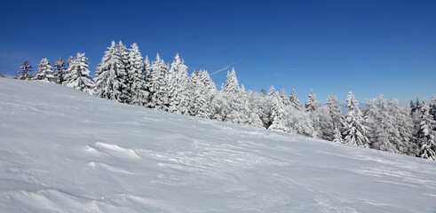 Randonnée en raquettes sur les premières neiges de décembre 2021, sur le plateau du Sornin dans...