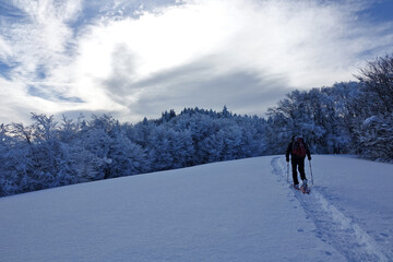 Fototapeta na wymiar Randonnée en raquettes sur les premières neiges de décembre 2021, sur le plateau du Sornin dans le Vercors en France
