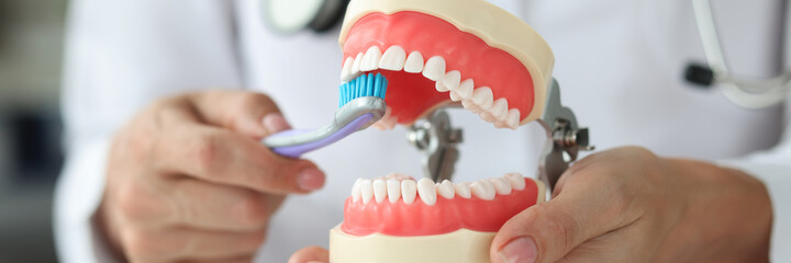 Dentist holds jaw and shows how to properly brush your teeth with toothbrush closeup