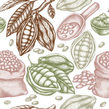 Seamless pattern with hand drawn pastel cocoa beans, cocoa
