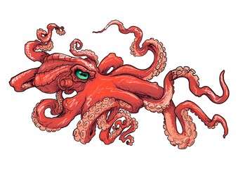 sketch of an octopus contour with shadows in color for a tattoo on the background © Irkis