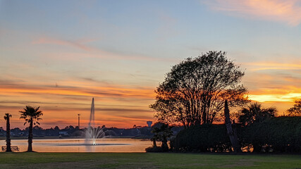 sunset over the field