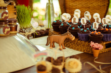 country children's birthday party decoration