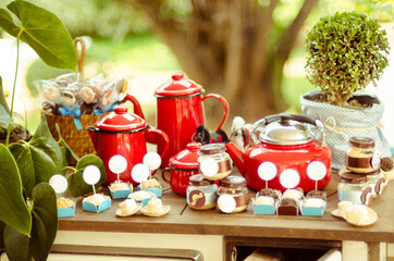 country children's birthday party decoration