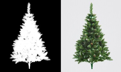 Cutout pine tree. Fir on transparent background. Evergreen tree.
