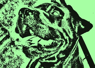 ILLUSTRATION DE OF THE LABRADOR, FUNNY DOG