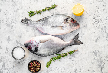 raw dorado fish on a light stone background
