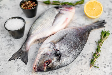 raw dorado fish on a light stone background