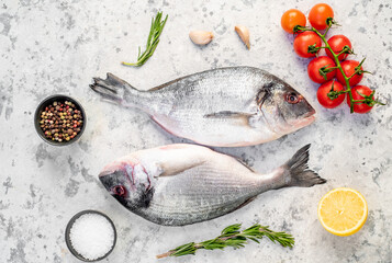 raw dorado fish on a light stone background