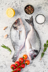 raw dorado fish on a light stone background