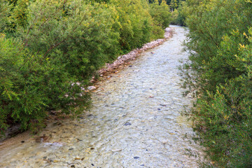 Fototapeta na wymiar the river save flows slow through green bushes, Triglav National Park, Slovenia
