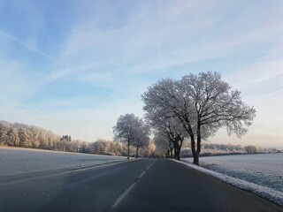 Frosty winter morning on the country road near detmold
