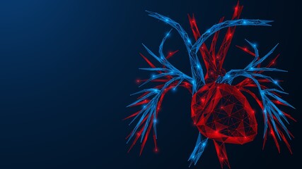 The cardiac system. A human heart with blood vessels located next to it. Low-poly design of interconnected lines and dots. - obrazy, fototapety, plakaty
