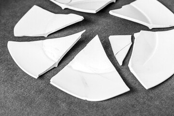 Broken Plate. White Shards, splinters