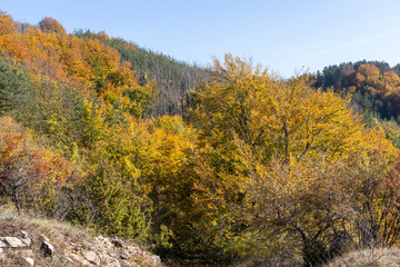 Fototapeta premium Autumn Landscape of Erul mountain near Kamenititsa peak, Bulgaria