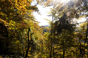 Autumn Landscape of Erul mountain near Kamenititsa peak, Bulgaria