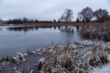 beautiful winter landscape overlooking the lake and snow-covered trees