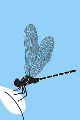 Engrave isolated dragonfly hand drawn graphic illustration. Dragonfly with delicate wings vector illustration