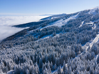 Aerial Winter view of Vitosha Mountain, Bulgaria