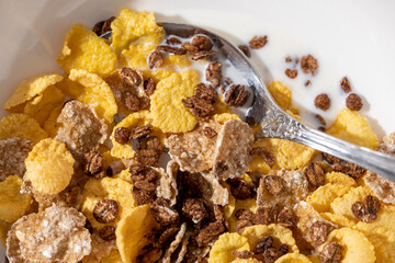 corn flakes with milk on white background in white bowl