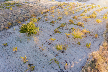 Vineyard in Cappadocia for wine in Turkey, Aerial view