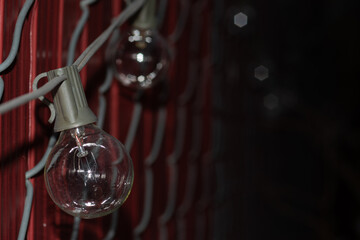 glass lightbulbs against wire fence