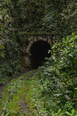 Fototapeta na wymiar Abandoned Railway tunnel