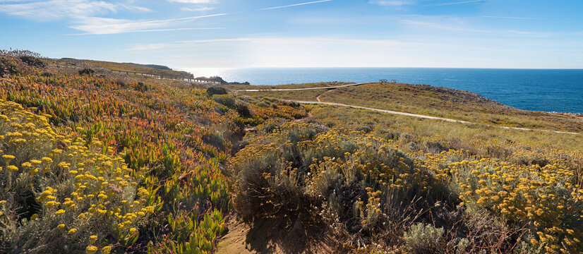 coastal landscape near Bordeira Beach Algarve, dunes and mediterranean landscape, Carrapateira