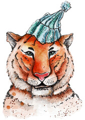Tiger in a blue knitted hat.