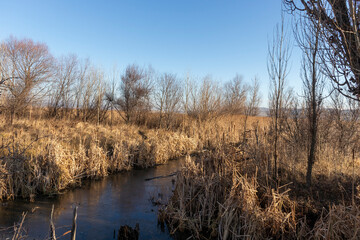 Autumn view of Dragoman marsh, Bulgaria
