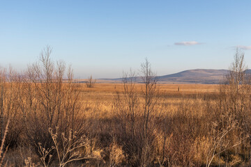 Autumn view of Dragoman marsh, Bulgaria