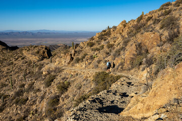 Hiker Heading Down Hugh Norris Trail In Saguaro
