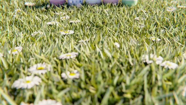 Video zu Ostern mit gr&uuml;ner Wiese und Ostereier - Ostergr&uuml;&szlig;e 3D Animation