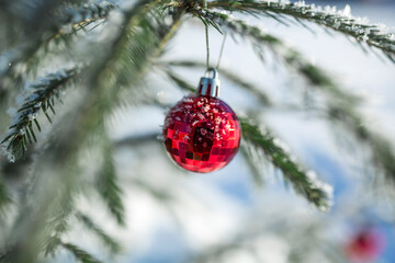 Outdoors image of beautiful decorated christmas fir tree on the white snow background. Christmas vacation out of town. Christmas tree branches with red balls. Christmas decoration. New Year 