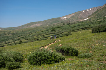 Fototapeta na wymiar Hikers On A Open Meadow Trail At Guanella Pass