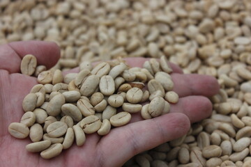 Colombian organic coffee beans