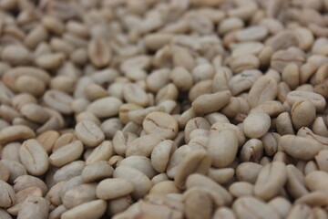 Colombian organic coffee beans