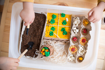 play sensor box for kids, touch box vegetable garden